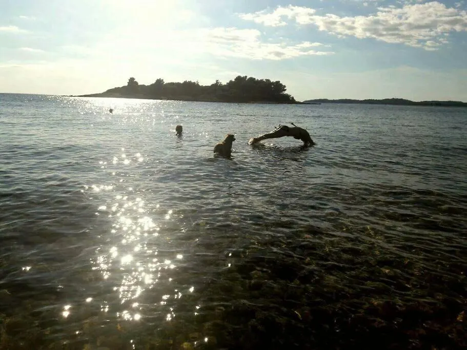 Our Stone Corner Villa Rovinj