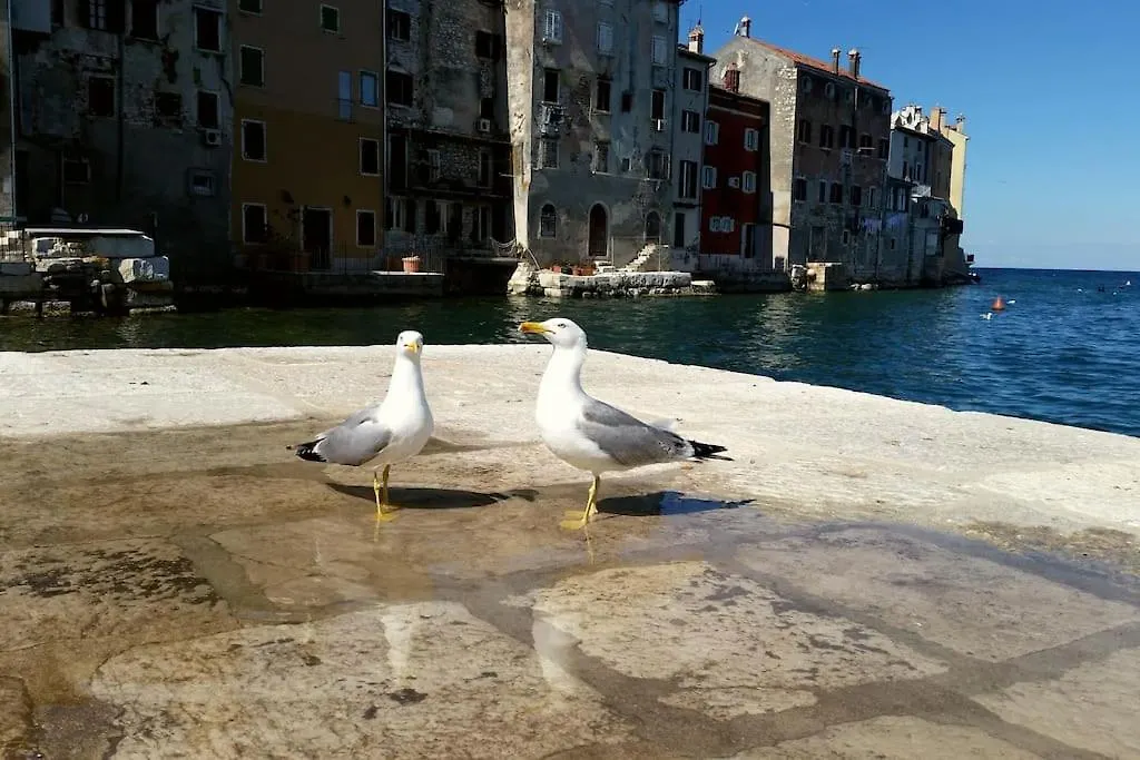 Our Stone Corner Villa Rovinj Nyaraló