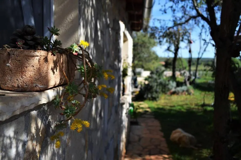 Our Stone Corner Villa Rovinj