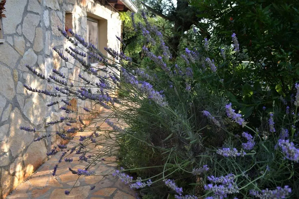 Our Stone Corner Villa Rovinj