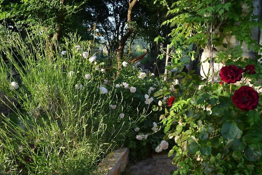 Holiday home Our Stone Corner Villa Rovinj Croatia