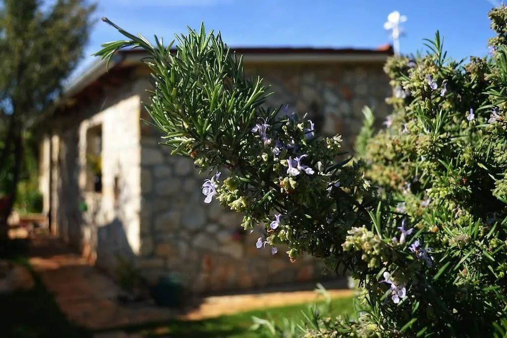 Our Stone Corner Villa Rovinj Holiday home